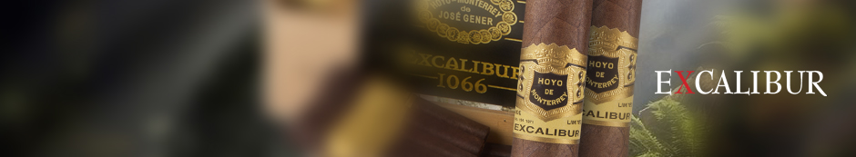 Excalibur Dark Knight